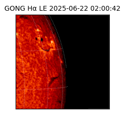 gong - 2025-06-22T02:00:42