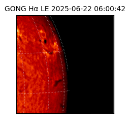 gong - 2025-06-22T06:00:42