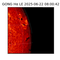 gong - 2025-06-22T08:00:42