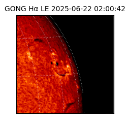 gong - 2025-06-22T02:00:42