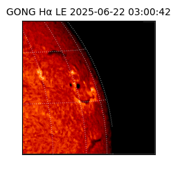 gong - 2025-06-22T03:00:42