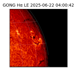 gong - 2025-06-22T04:00:42