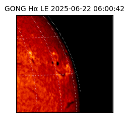 gong - 2025-06-22T06:00:42