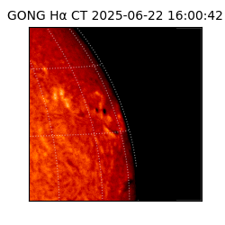 gong - 2025-06-22T16:00:42