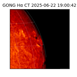 gong - 2025-06-22T19:00:42
