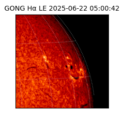 gong - 2025-06-22T05:00:42