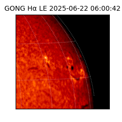 gong - 2025-06-22T06:00:42