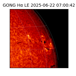 gong - 2025-06-22T07:00:42