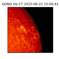 gong - 2025-06-22T15:00:42