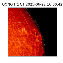 gong - 2025-06-22T16:00:42