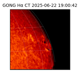gong - 2025-06-22T19:00:42