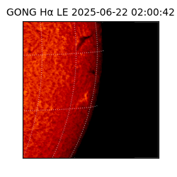 gong - 2025-06-22T02:00:42