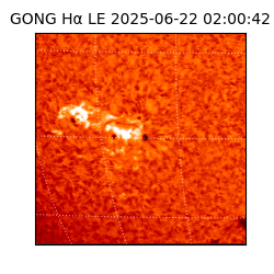 gong - 2025-06-22T02:00:42