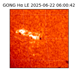 gong - 2025-06-22T06:00:42