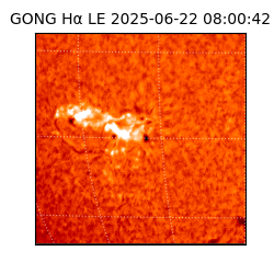 gong - 2025-06-22T08:00:42