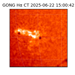 gong - 2025-06-22T15:00:42