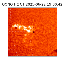 gong - 2025-06-22T19:00:42