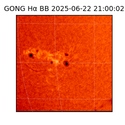 gong - 2025-06-22T21:00:02