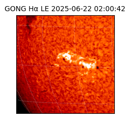 gong - 2025-06-22T02:00:42