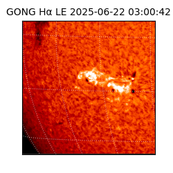 gong - 2025-06-22T03:00:42