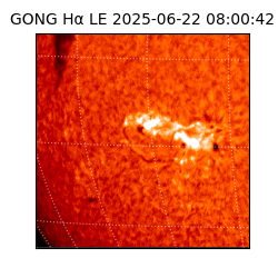 gong - 2025-06-22T08:00:42