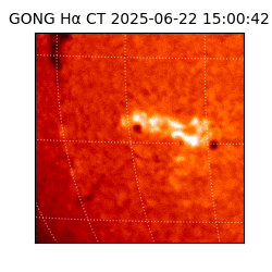 gong - 2025-06-22T15:00:42