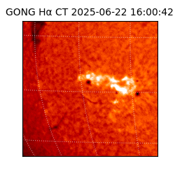 gong - 2025-06-22T16:00:42
