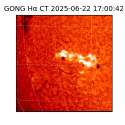 gong - 2025-06-22T17:00:42