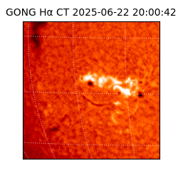 gong - 2025-06-22T20:00:42