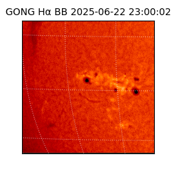 gong - 2025-06-22T23:00:02