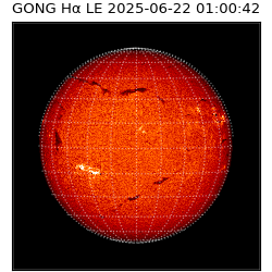 gong - 2025-06-22T01:00:42