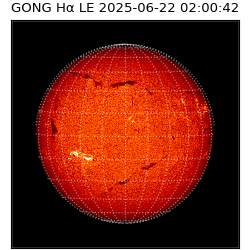 gong - 2025-06-22T02:00:42