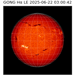 gong - 2025-06-22T03:00:42