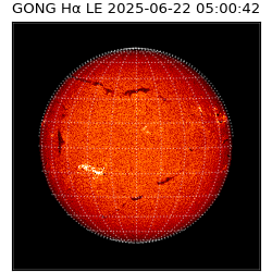 gong - 2025-06-22T05:00:42
