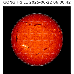 gong - 2025-06-22T06:00:42