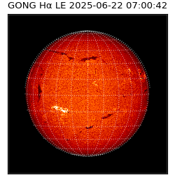 gong - 2025-06-22T07:00:42