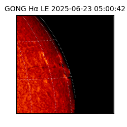 gong - 2025-06-23T05:00:42