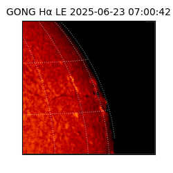 gong - 2025-06-23T07:00:42