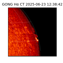 gong - 2025-06-23T12:38:42