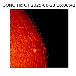 gong - 2025-06-23T16:00:42