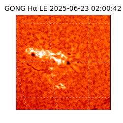 gong - 2025-06-23T02:00:42