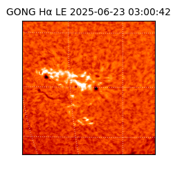 gong - 2025-06-23T03:00:42