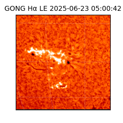 gong - 2025-06-23T05:00:42