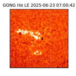 gong - 2025-06-23T07:00:42