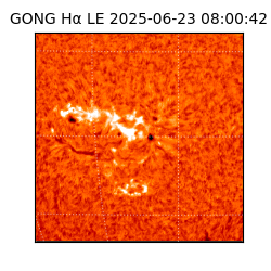 gong - 2025-06-23T08:00:42