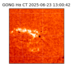 gong - 2025-06-23T13:00:42