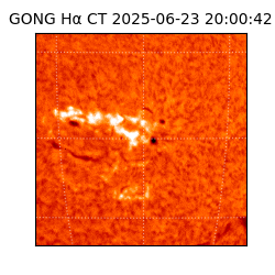 gong - 2025-06-23T20:00:42