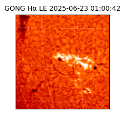 gong - 2025-06-23T01:00:42