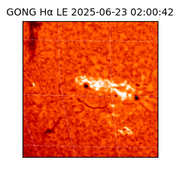 gong - 2025-06-23T02:00:42