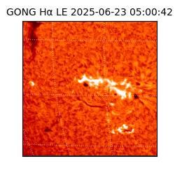 gong - 2025-06-23T05:00:42